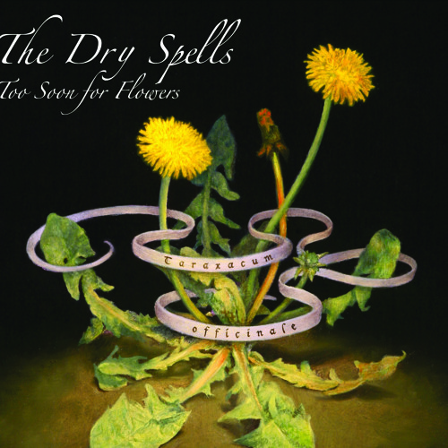 The Dry Spells -  Rhiannon