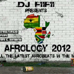 AFROLOGY 2O12 MIXED BY DJ FIIFII