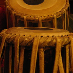 Indian Classical, Experimental and Fusion
