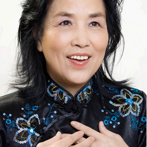 wing chinese singer net worth - Ilustrasi 2