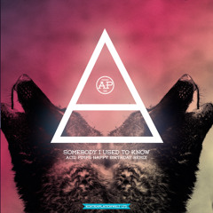 Goyte feat. Kimbra - Someone I Used To Know (Acid Pimps Dub Remix) [FREE DOWNLOAD]
