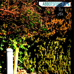 SWIMMING IN THE SAME WATERS By JSK (From The Album ABBOTSFORD)