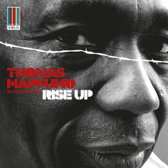 Thomas Mapfumo - Marudzi Nemarudzi (Real World Gold)