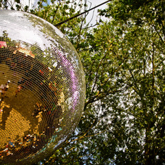 Daydreaming 2.1 - Take Me Back To Bachstelzen