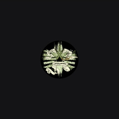 Endymion - Payback (Tommyknocker's trashed remix)