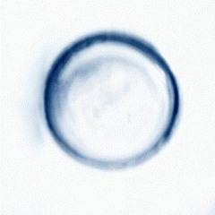 La Refalosa - Nicolas Vera Trio