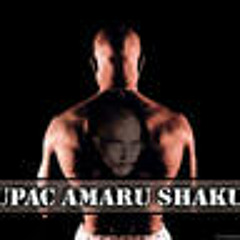 2Pac - Whyd You Slang Crack (Miqu Remix)