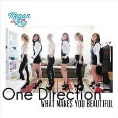 What Makes You Beautiful Cover By Megan & Liz