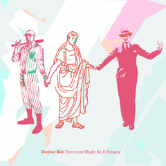 No One Can Love You Like A Senator Can Love You