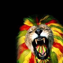 Sean Paul - Get Busy Drum and Bass Remix