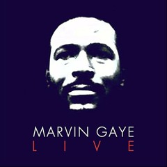 MARVIN GAYE - Live in Amsterdam 1976