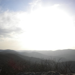 Mutants (prod. Darkside)