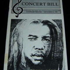Peter Tosh - The Poor Man Feel It (Live)
