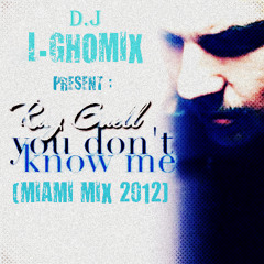 Ray Guell Feat L- Ghomix You Don't Know Me (Miami Mix 2012)