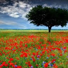 Manu Senent - Tears lost in time (ambient)