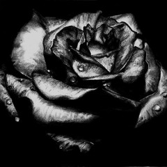 BigOne - Черни Рози (Dub K Remix)