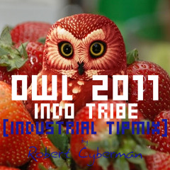 Indo Tribe - Owl 2011 (Industrial Tip Mix)