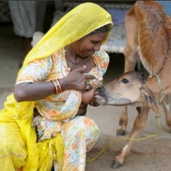 BSS Madness - voll titte