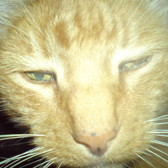 Untitled Instrumental