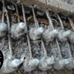 Dimentia --- Live sets/tracks