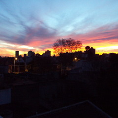 da capo - ansioso antes que vivo