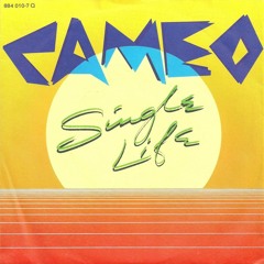 Cameo Single Life David Djs Revisited Respect Edit 2011 Mix