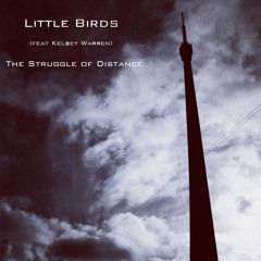 Little Birds feat. Kelsey Warren - The Struggle of Distance (Tripnotic Remix) - FILTER067