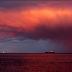 Walker Iglehart - Shelter from the Storm
