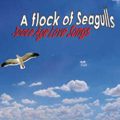 Flock Of Seagulls - Space Age Love Song (ThomasJDDJ Temix)