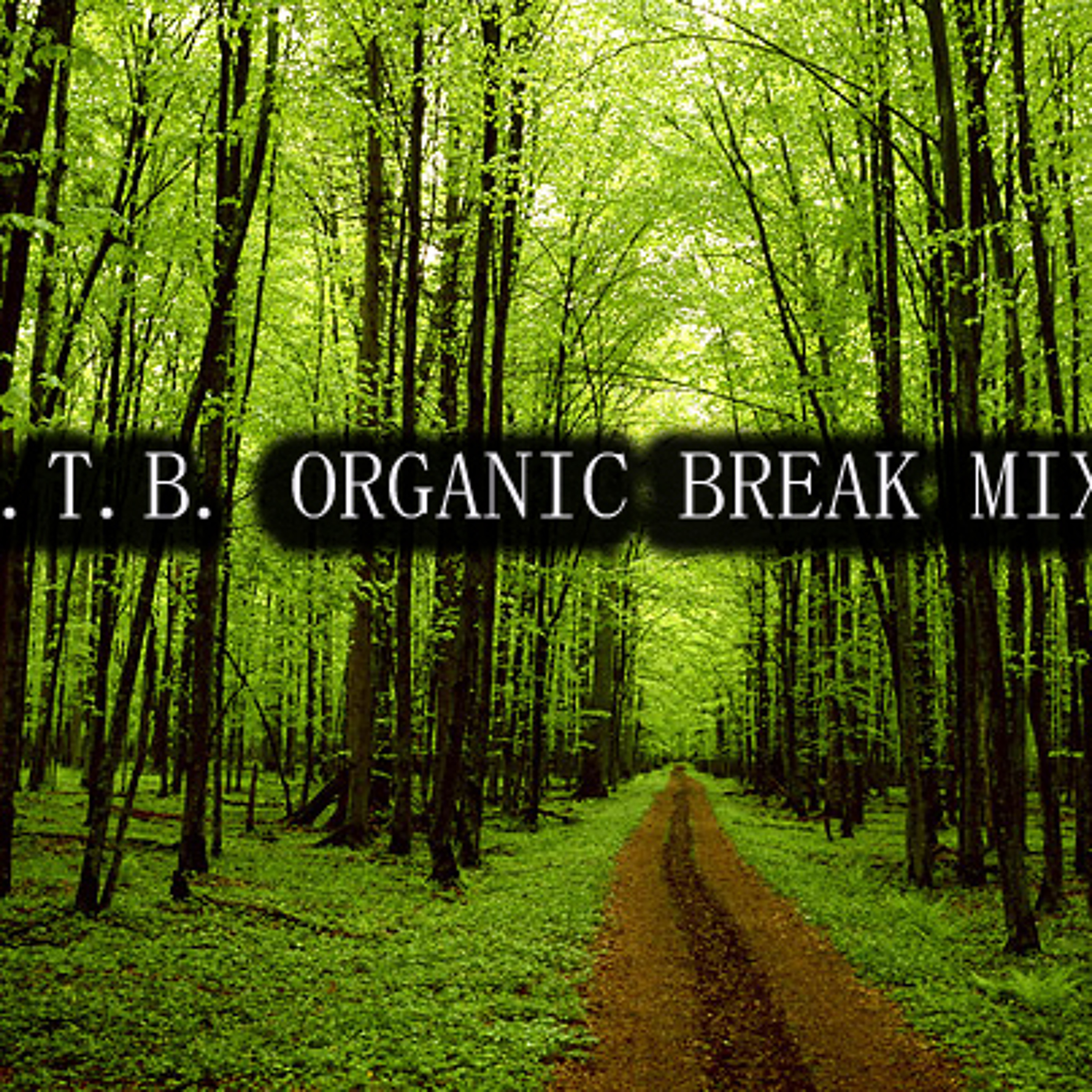B.T.B. Organic Ambient & Lounge  Break Mix 1 << FREE DOWNLOAD >>