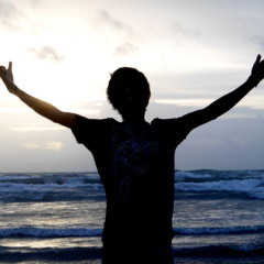 You Can Fly Ft. Inmortal