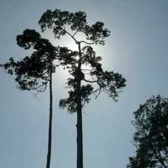 Mix Dj Armand 5 juillet 2012