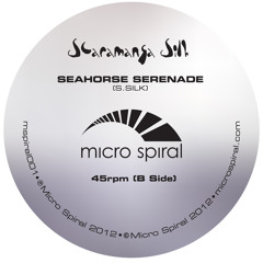 Scaramanga Silk - Seahorse Serenade (on BBC6 Music, Gideon Coe show, Wed 4th July 2012)
