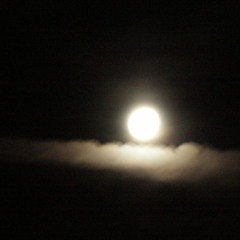 NightTrial