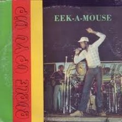 Eek-A-Mouse -  every girl is a virgin