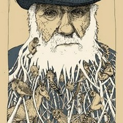 Gypsy Love (The Dutch)