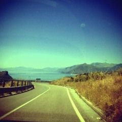 Cold Of The Road Runner