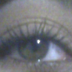 Returning to calm (intrumental version)