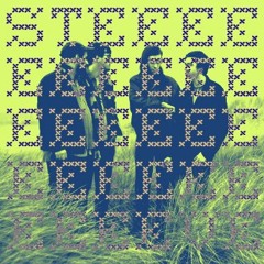 Real Estate - Green River (Steeve Fuckmix)