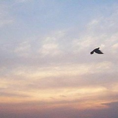 each new day - mink's  ( rose melberg cover )