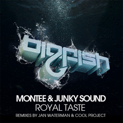 Montee & Junky Sound - Royal Taste (Cool Project remix) *OUT NOW* [Big Fish Recordings]