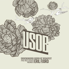 Underground Sound Of Budapest 002 Eril Fjord