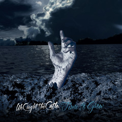 We Caught The Castle - Time To Grow