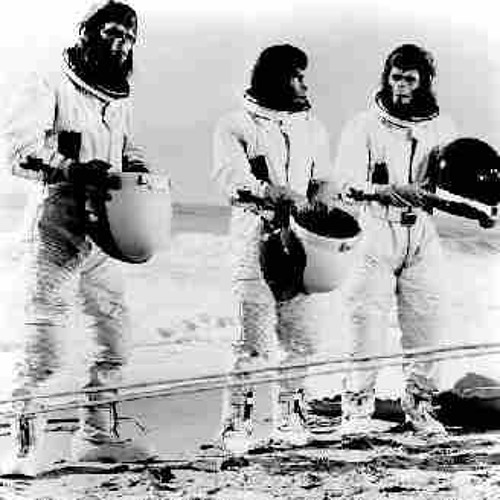 Jungle Jim - Monkey **Free Download**