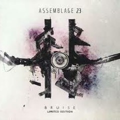 Assemblage 23 - The Last Mistake before & after mix by 360°