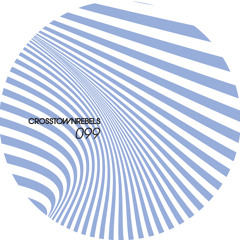 CRM099 A2. SIS - Unforty