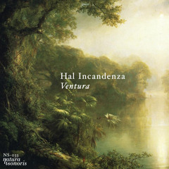 Hal Incandenza - Ventura (Original)