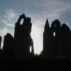 Fidycat's Jukebox...