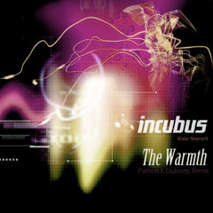 leivtric - The Warmth (Incubus Dubstep Remix)