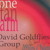 Artwork for Special Kind Of Love Affair  -----  David Goldflies